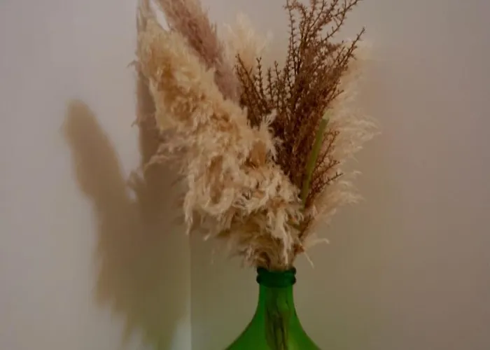 La Maison De Nicole *